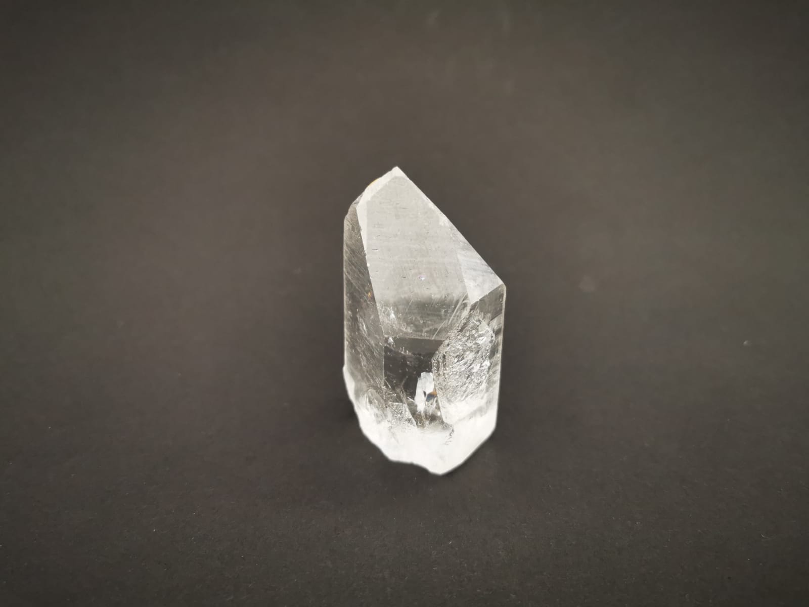 Kremen - Konica (7cm) - slika 3