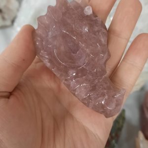 Zmajeva lobanja iz jagodne kamene strele